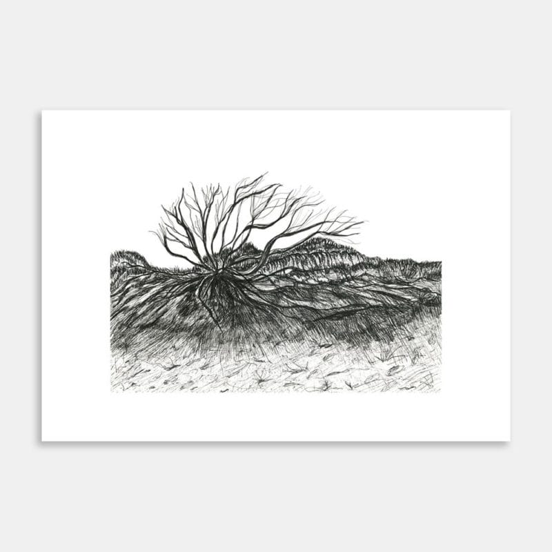 Weathered Limited Edition Art Print By Gabriella Williams