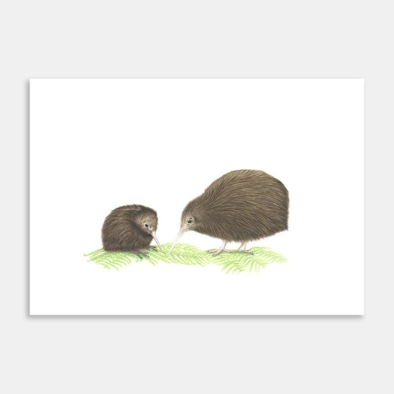 Kiwi With Chick Art Print By Janine Badger