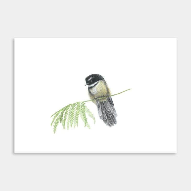 Tomtit Art Print By Janine Badger