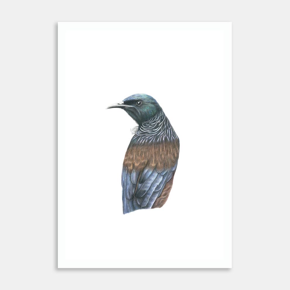 Kookaburra 1 Art Print By Yvonne Chapman Art Collective