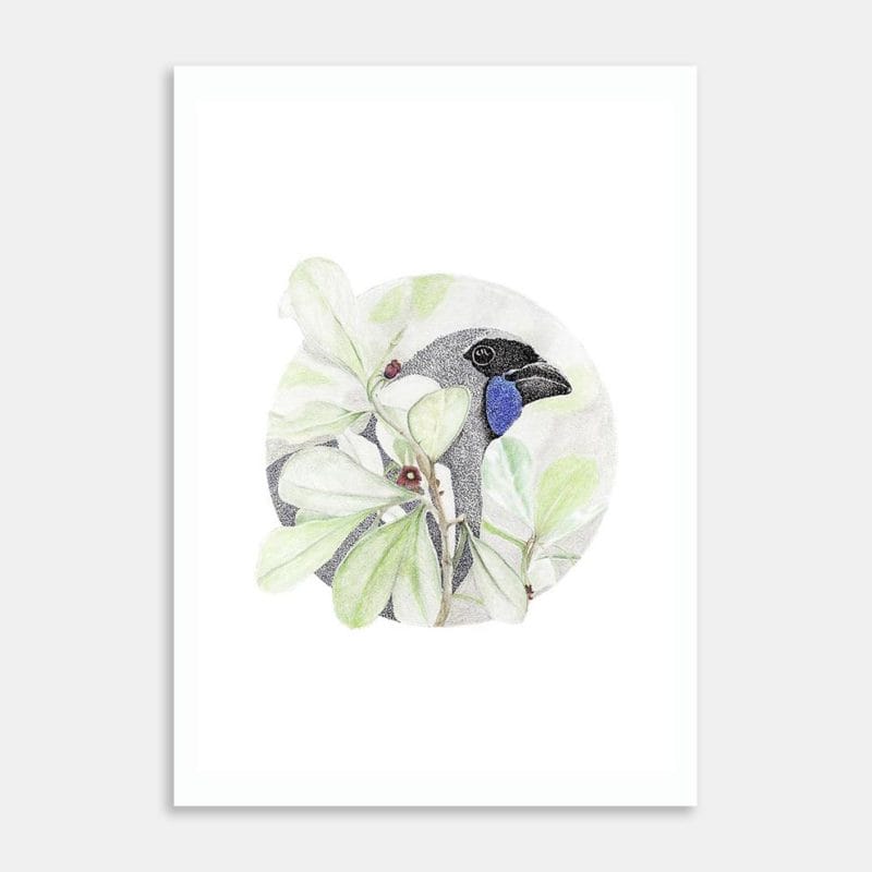 Kõkako amongst the Karo Art Print By Kristin Ivill