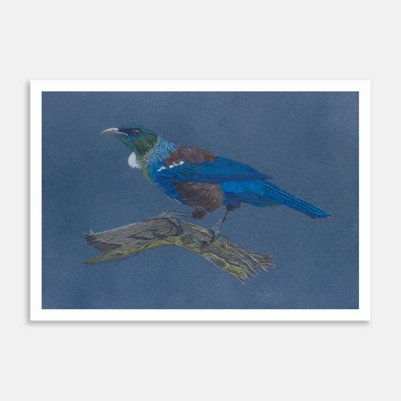 Tui on Branch Art Print By Lynn Fuller