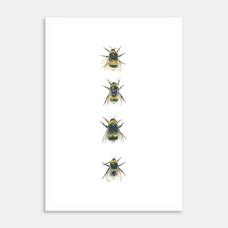 Bees In A Row Art Print By Lynn Fuller