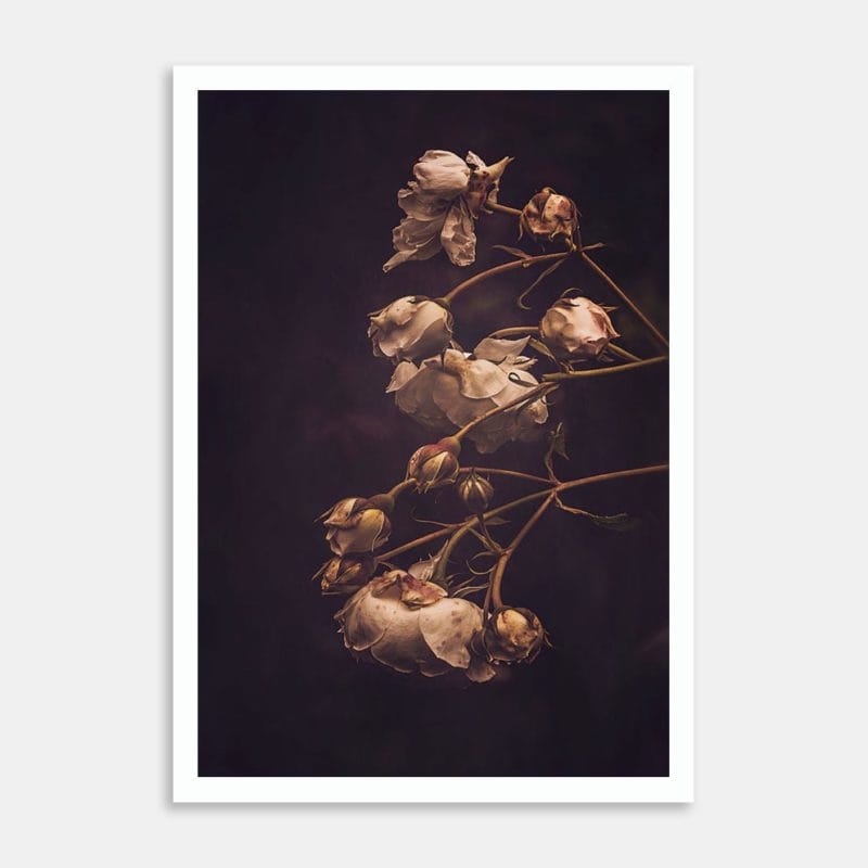Bianca Art Print by Marina de Wit