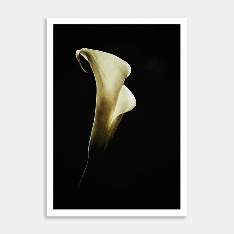 Melina Art Print by Marina de Wit