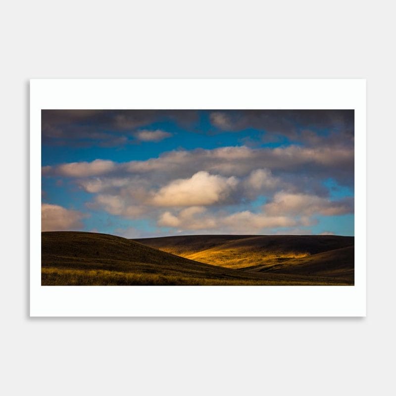 Catching Light - South Island Art Print By Michelle Durrant