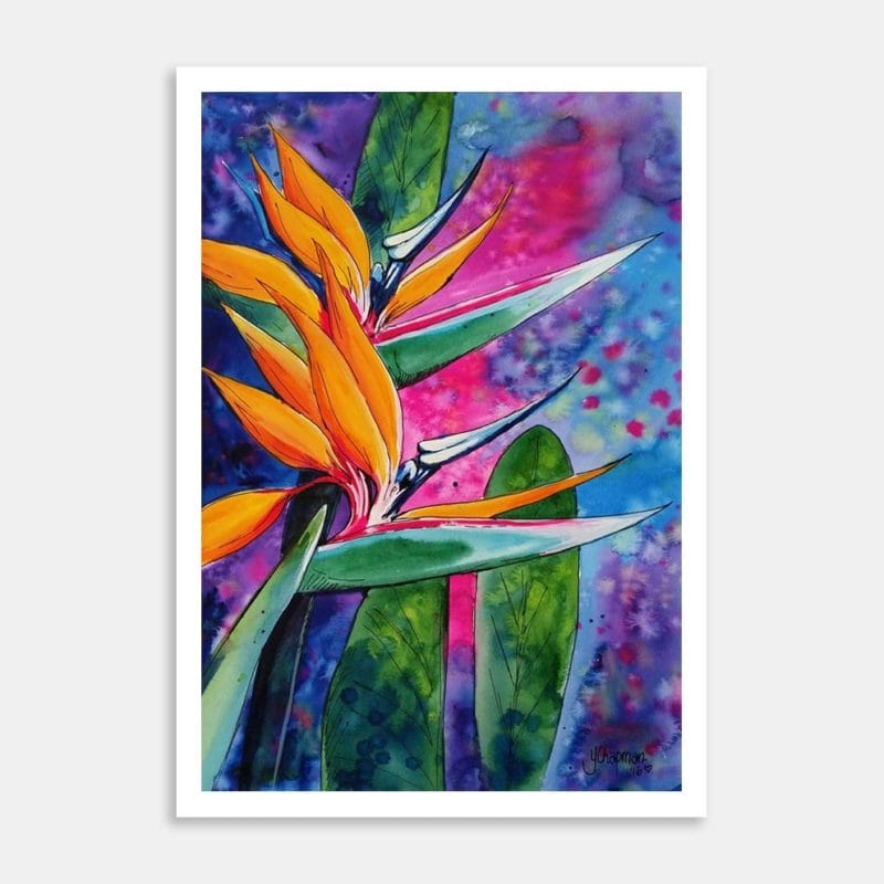 Bird of Paradise Art Print By Yvonne Brooks