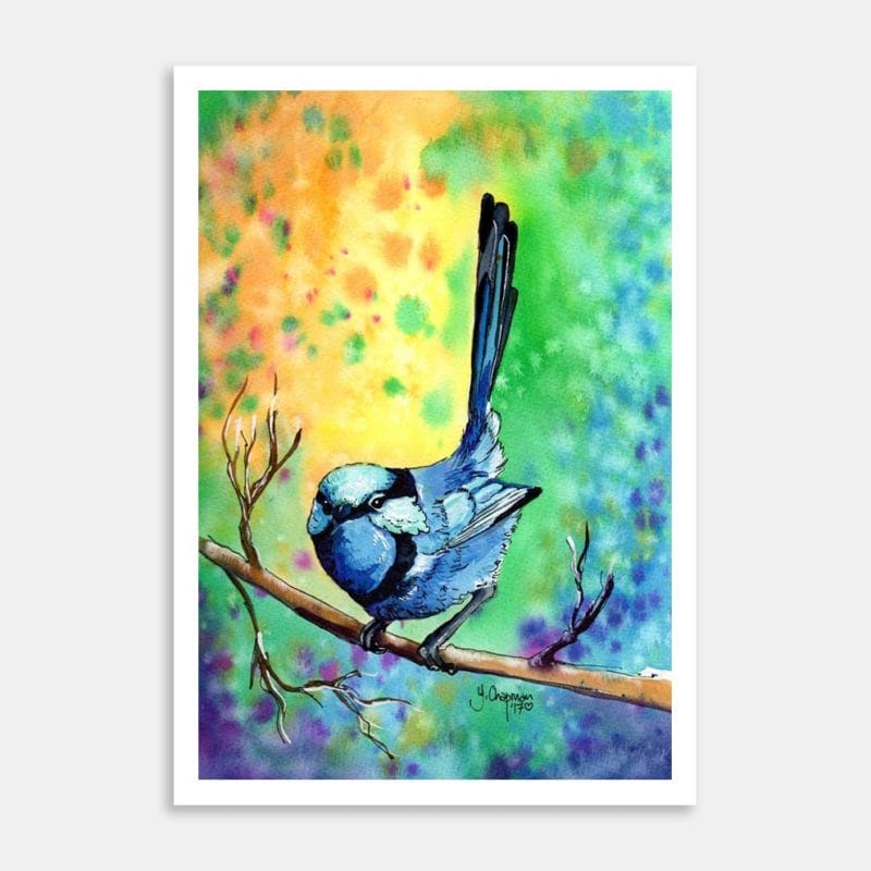 Blue Wren Art Print By Yvonne Brooks