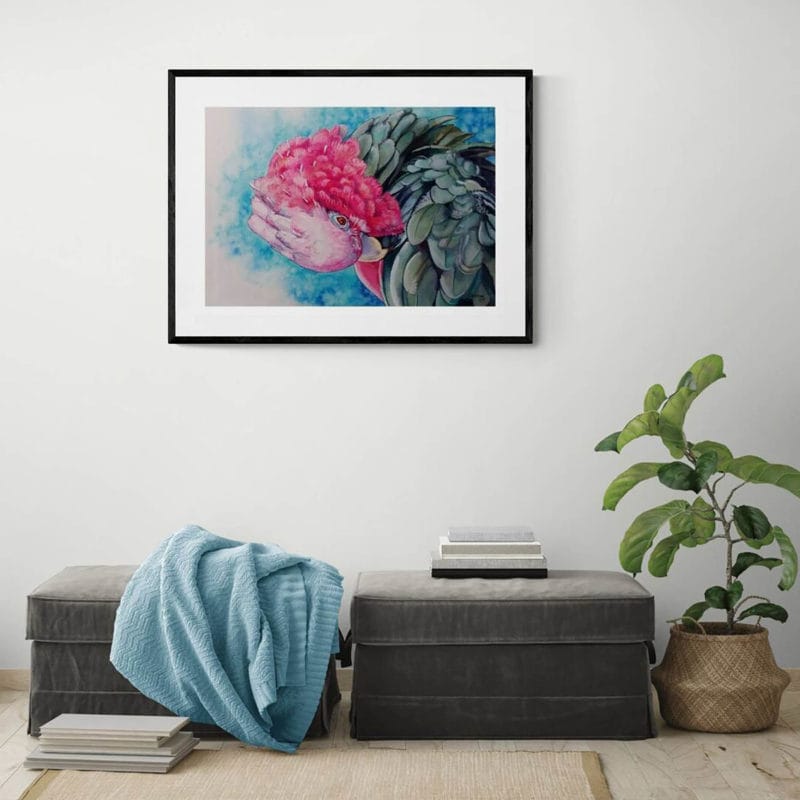 Preening Galah Art Print By Yvonne Brooks - Image 4