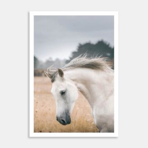 Horse Galloping Art Print By Ben Doubleday