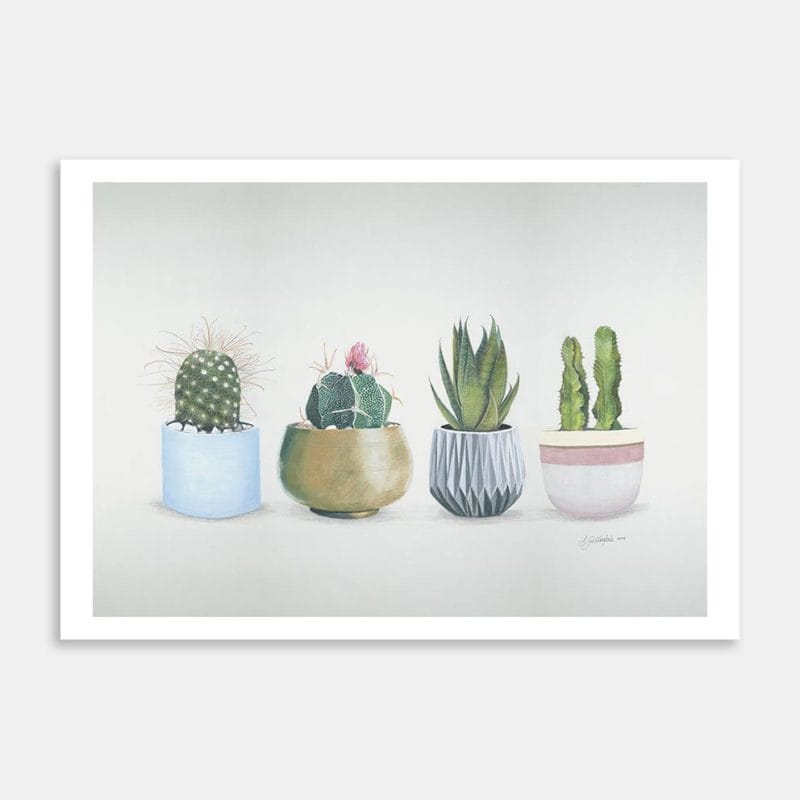 Four Cactus Plants Art Print By Lynn Fuller