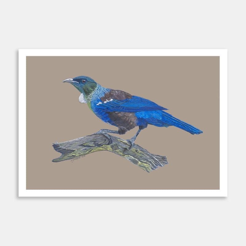 Tui On Branch BG Art Print By Lynn Fuller