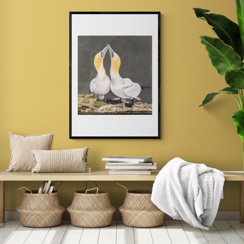 Gannets No.1 Art Print By Lynn Fuller - Image 2