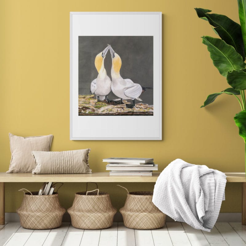Gannets No.1 Art Print By Lynn Fuller - Image 4
