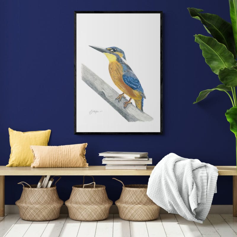Kingfisher No.1 Art Print By Lynn Fuller - Image 2