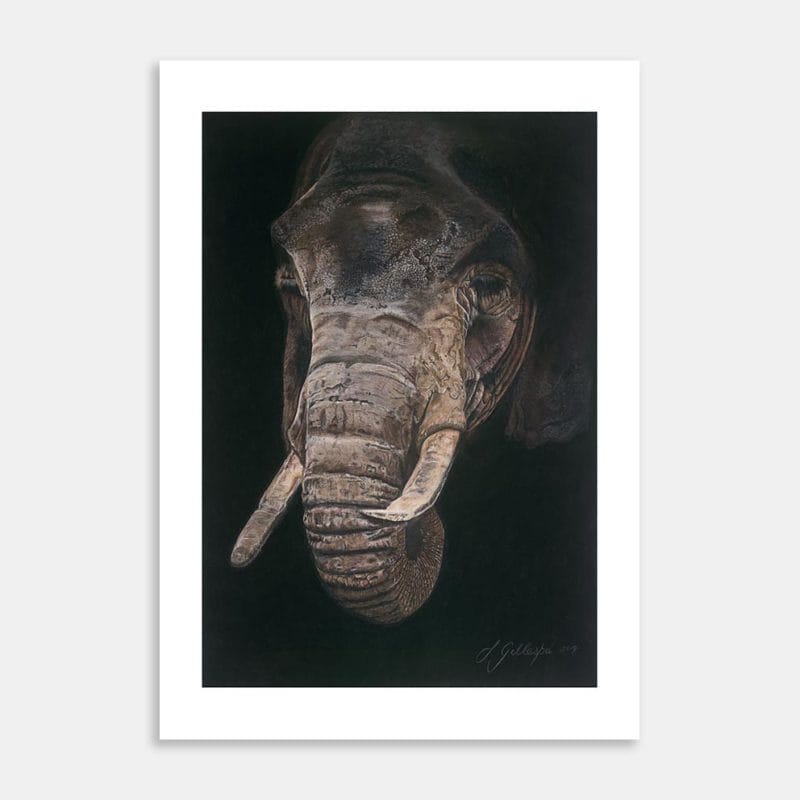 Elephant Art Print By Lynn Fuller