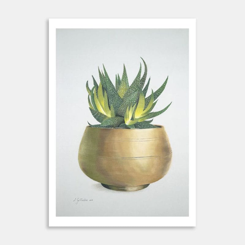 One Cactus Plant Art Print By Lynn Fuller