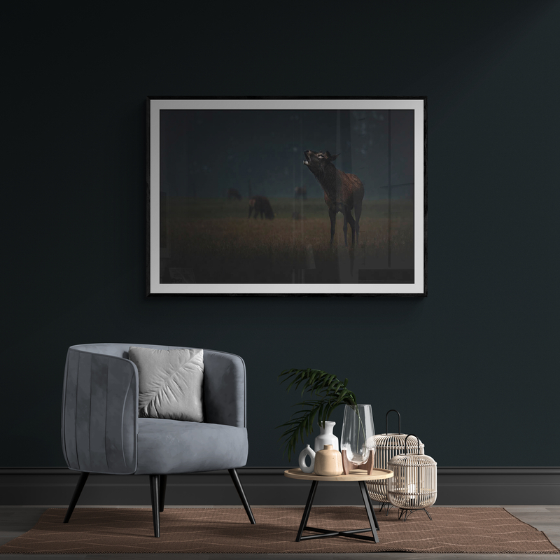 Red Stag Roaring Art Print By Ben Doubleday - Image 2
