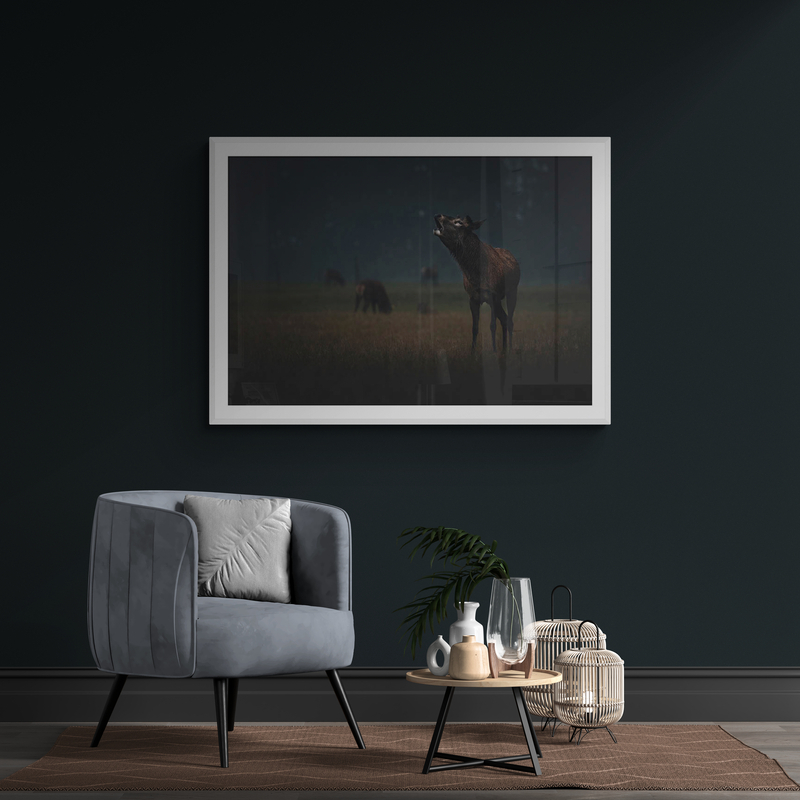 Red Stag Roaring Art Print By Ben Doubleday - Image 4