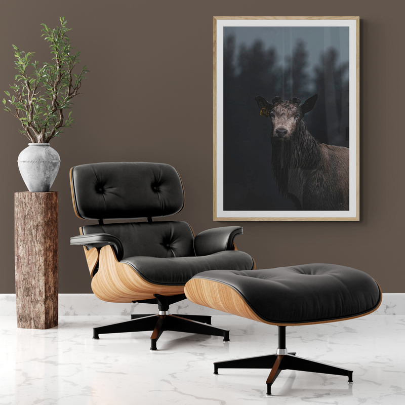 Dirty Danish White Stag Art Print By Ben Doubleday - Image 3
