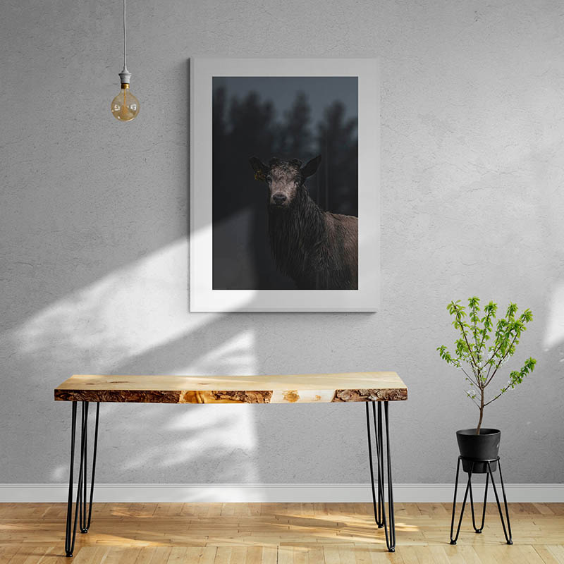 Dirty Danish White Stag Art Print By Ben Doubleday