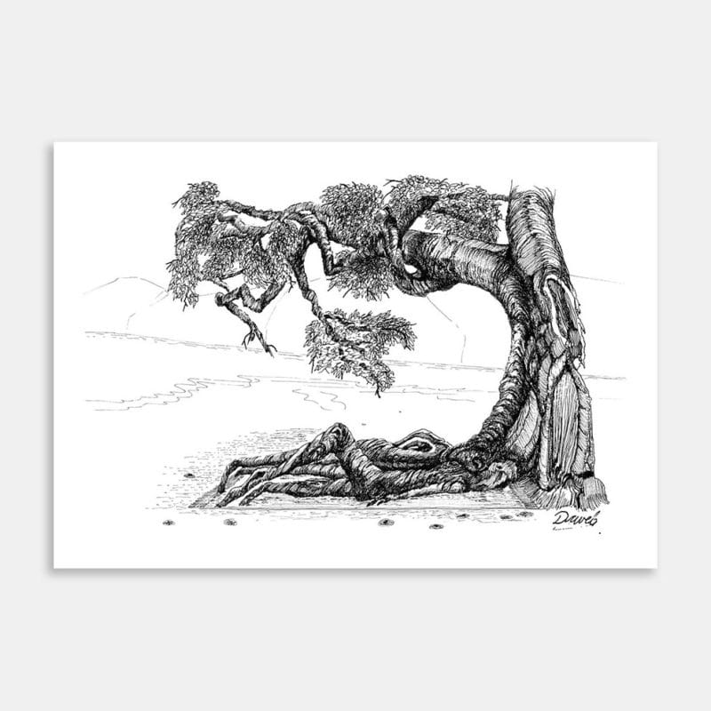 Sunbathers Art Print By Glyn Davies
