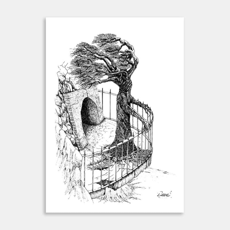 Manuka Maiden Art Print By Glyn Davies