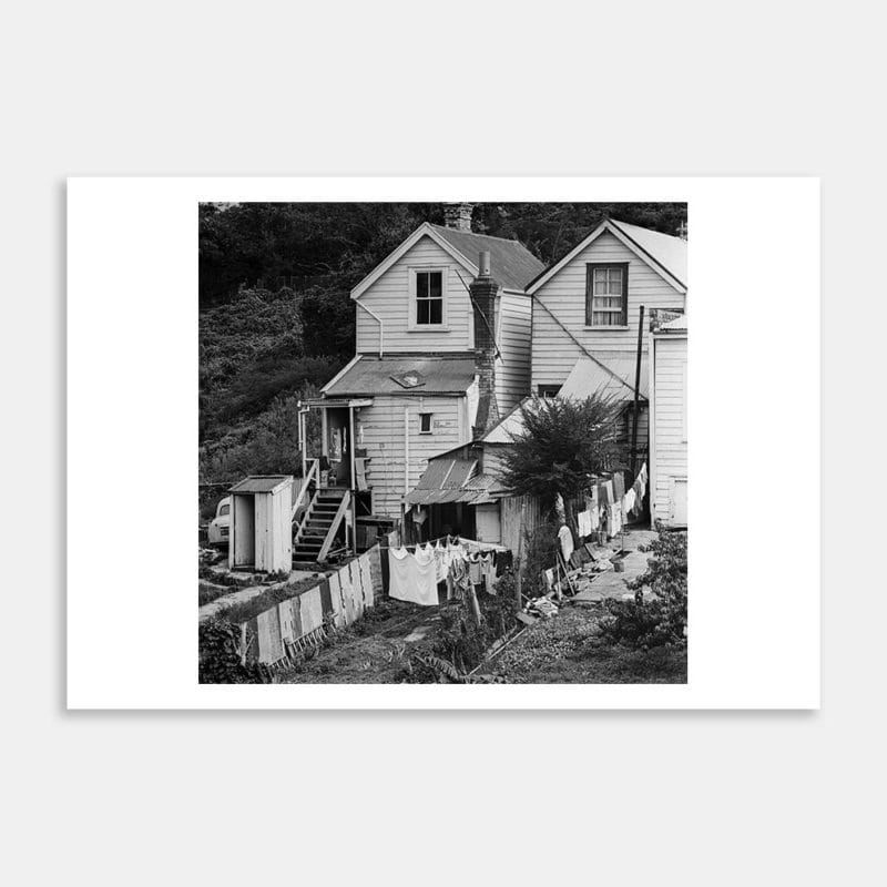 Ponsonby Backyards Art Print By Garry Lawrence