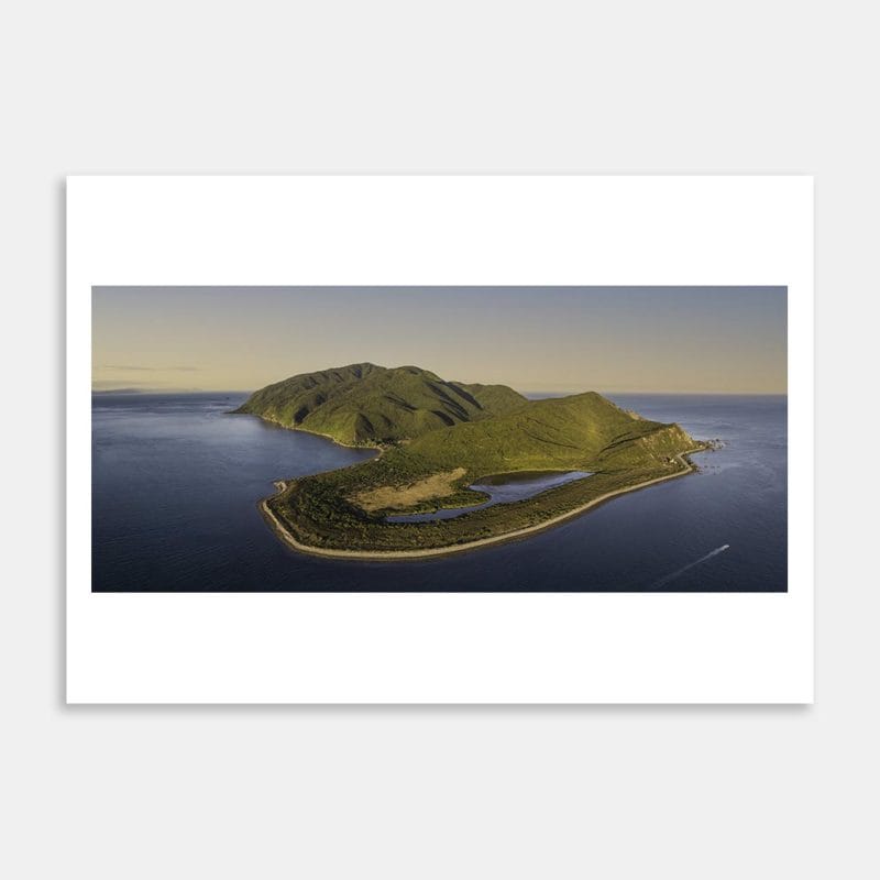 Kapiti Island Panorama Art Print By Johnny Hendrikus