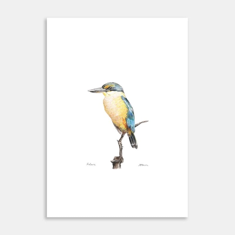 Kotare Art Print By Margie Carron