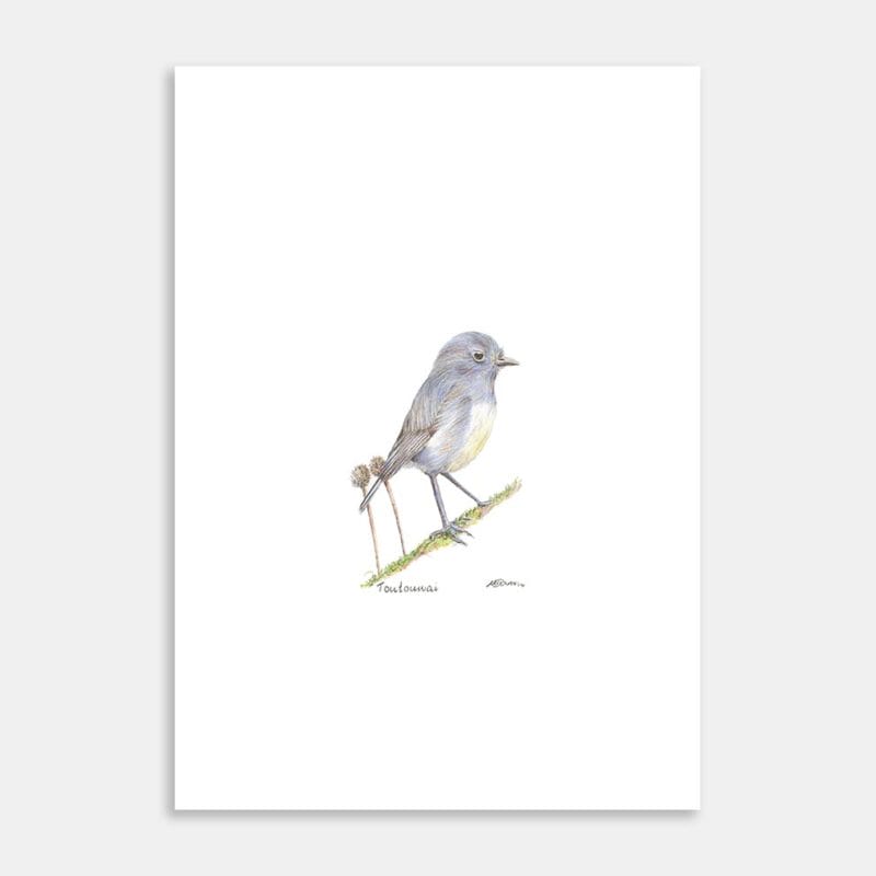 Toutouwai Art Print By Margie Carron