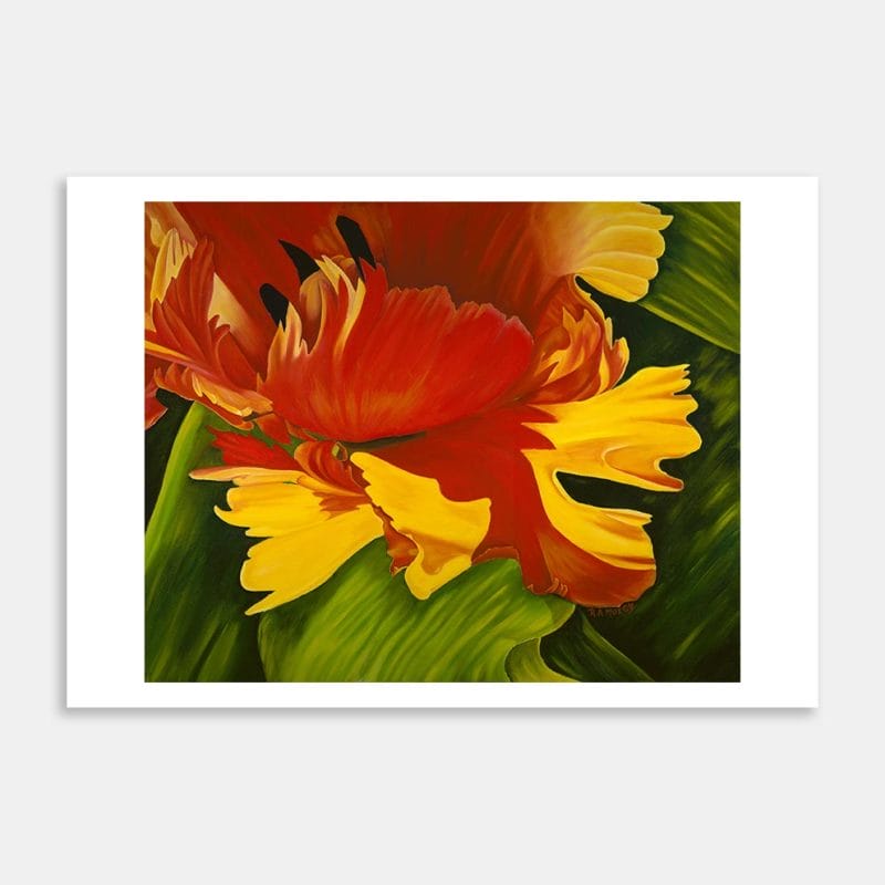 Flower No.1 Art Print By Robyn Moxey