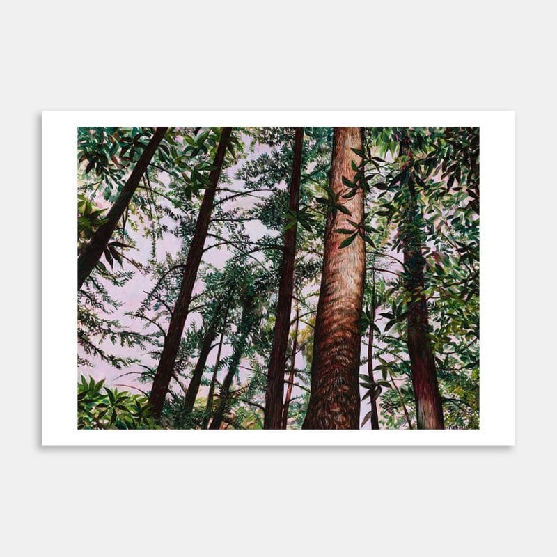 Forest Study III Art Print By Liz Abbott