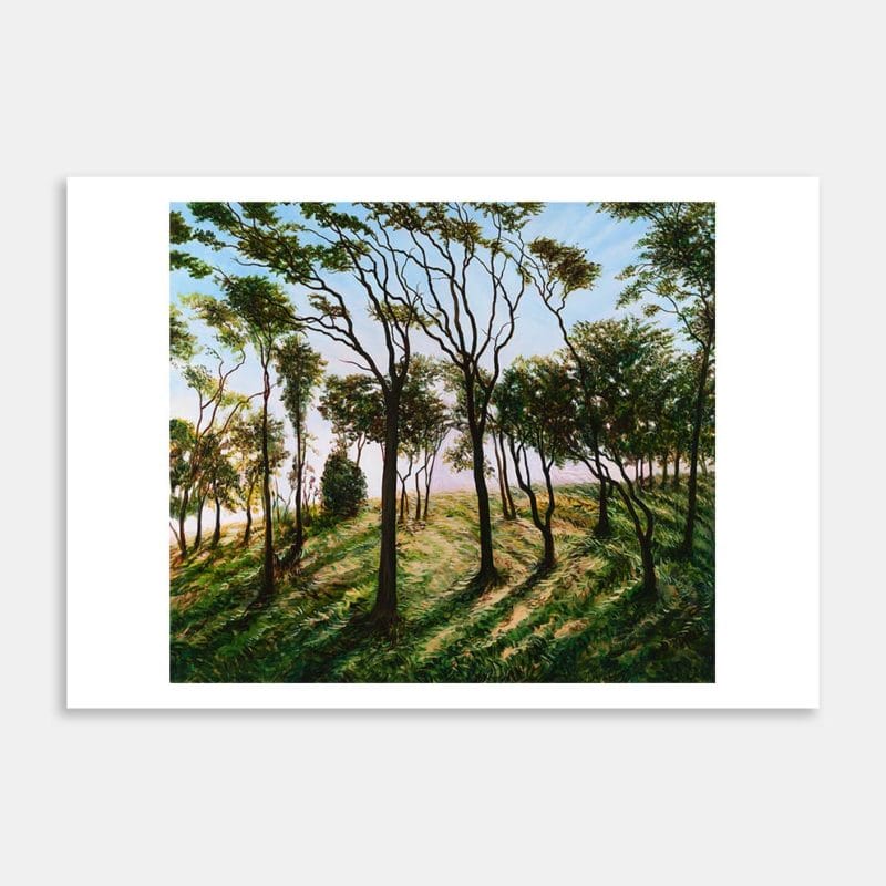Glade Art Print By Liz Abbott