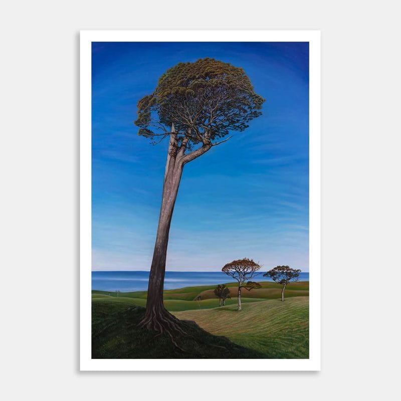 Kahikatea Art Print By Liz Abbott