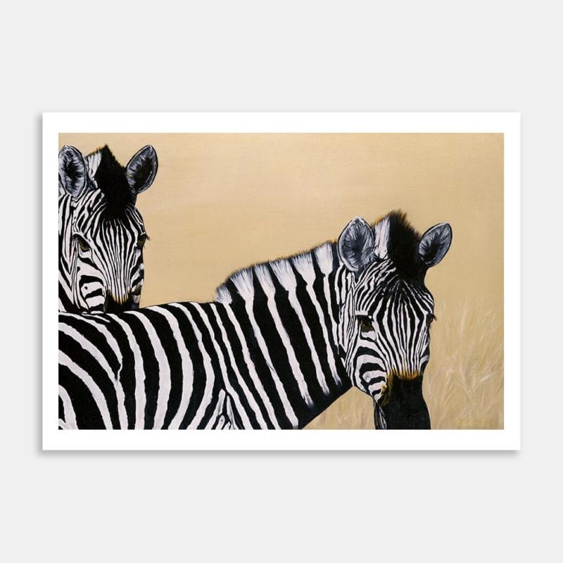 Zebra Companions Art Print By Robyn Moxey