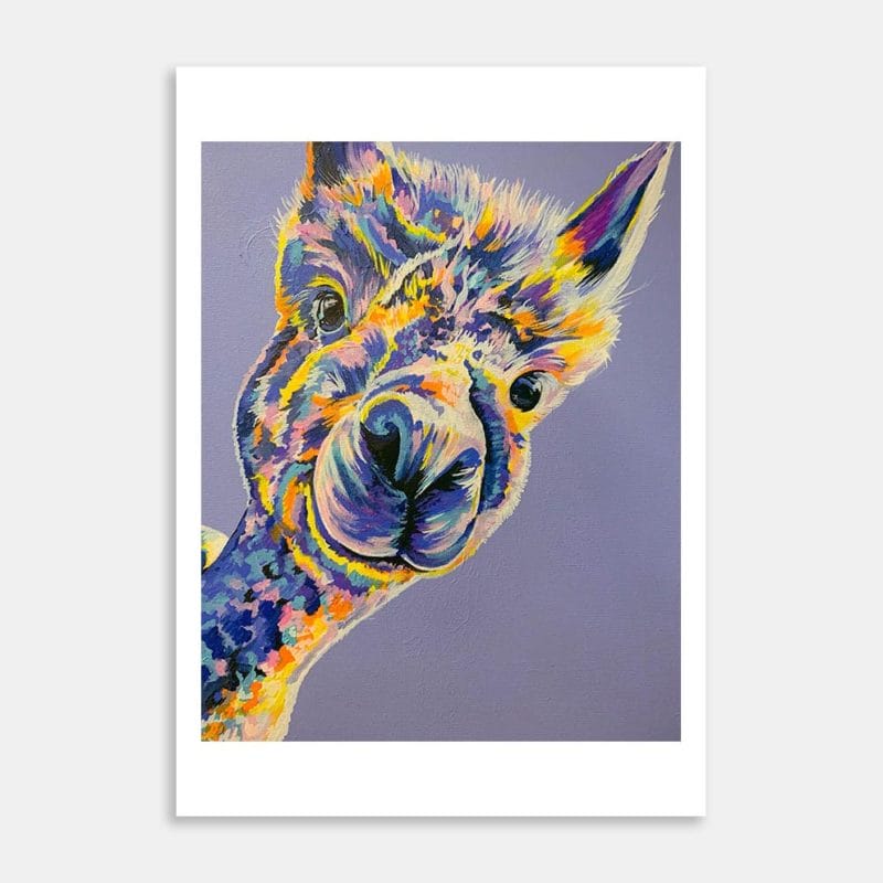 Boo. Alpaca Art Print By Samantha Payne