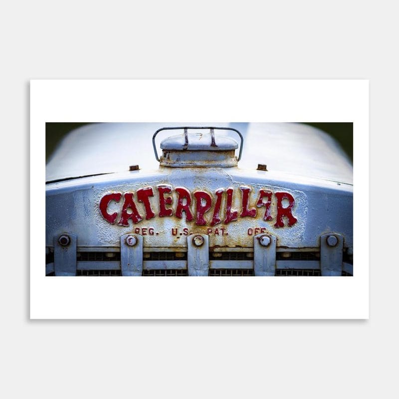 Caterpillar Radiator Grill Art Print By Anna Deacon