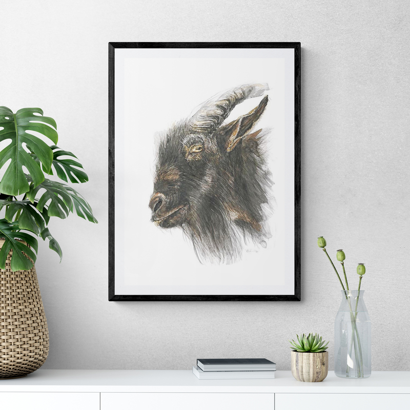 Goat – Stay Home They Say, Not Kidding Art Print By Anna Deacon