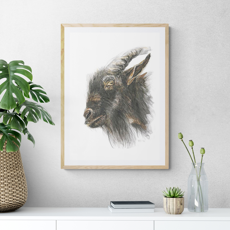 Goat – Stay Home They Say, Not Kidding Art Print By Anna Deacon