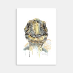 Fred 51 Art Print By Anna Deacon