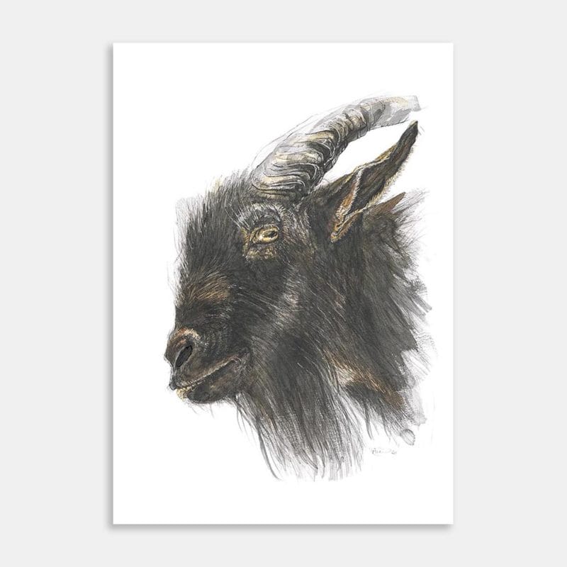 Goat – Stay Home They Say, Not Kidding Art Print By Anna Deacon