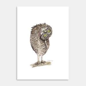 Owl The World Looks So Different These Days Art Print By Anna Deacon