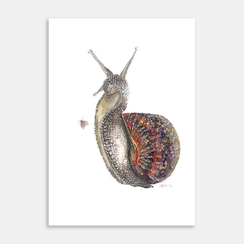 Snail Slow Day Art Print By Anna Deacon