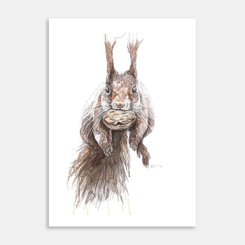 Squirrel Little Hoarder Art Print By Anna Deacon