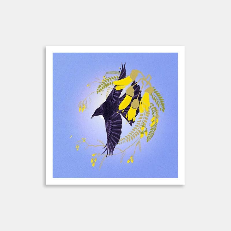 Tui And Kowhai Art Print By Ashlee O’Hagan