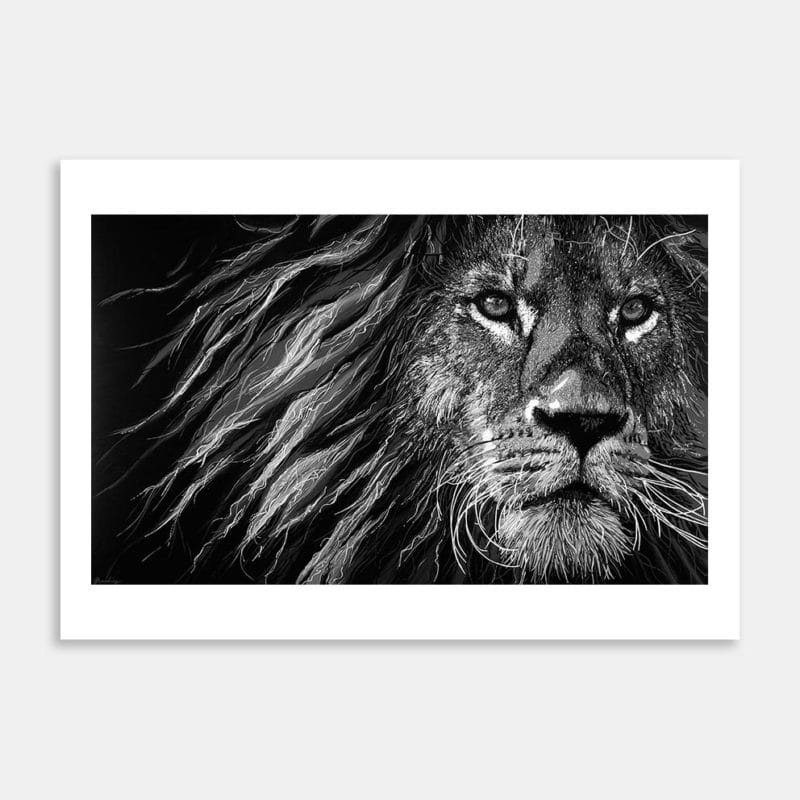 Lion Limited Edition Art Print By Bridget Harding