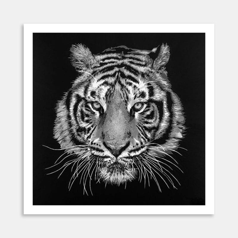 Tiger Limited Edition Art Print By Bridget Harding