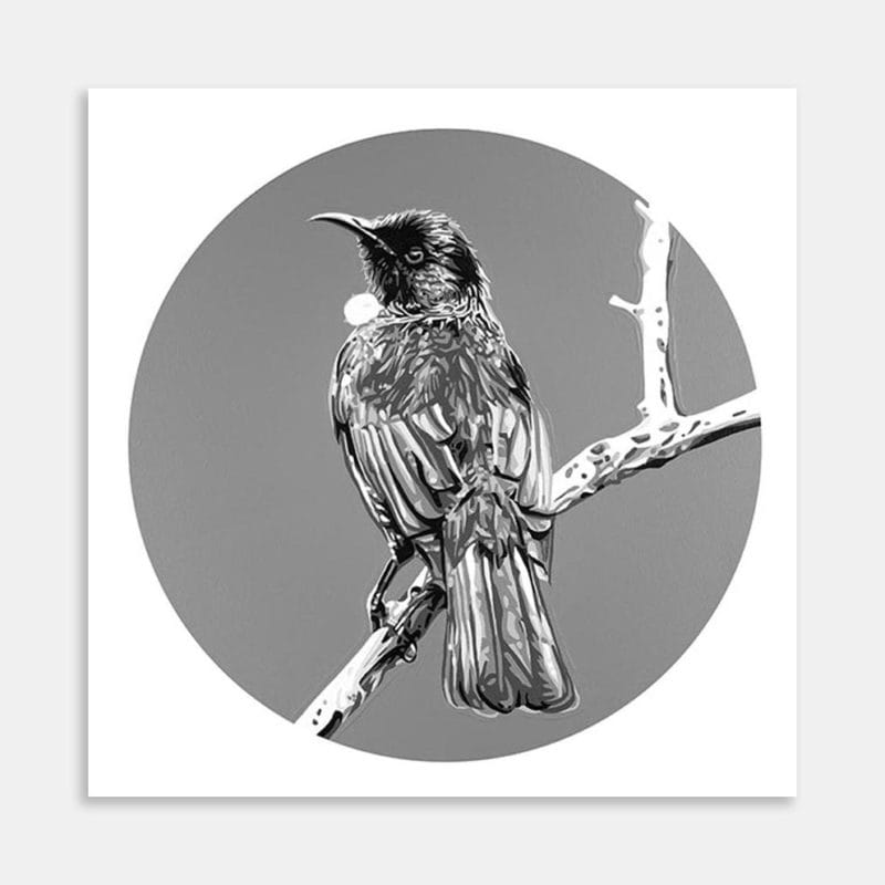 Tui Limited Edition Art Print By Bridget Harding