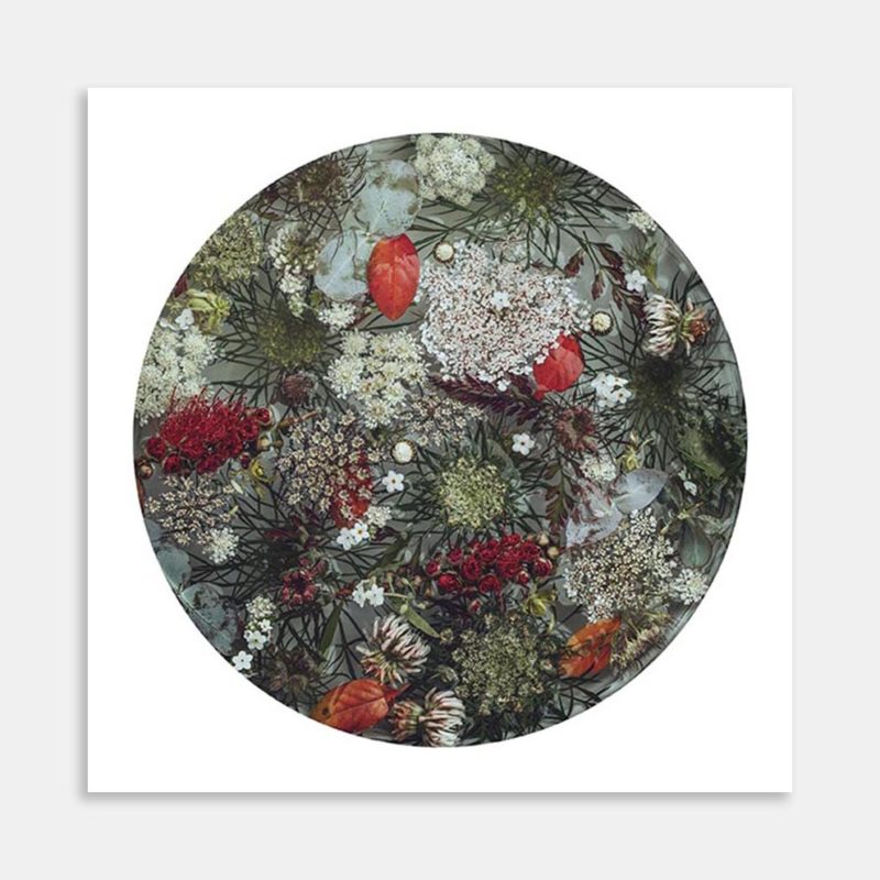 Bottlebrush Art Print by Marina de Wit